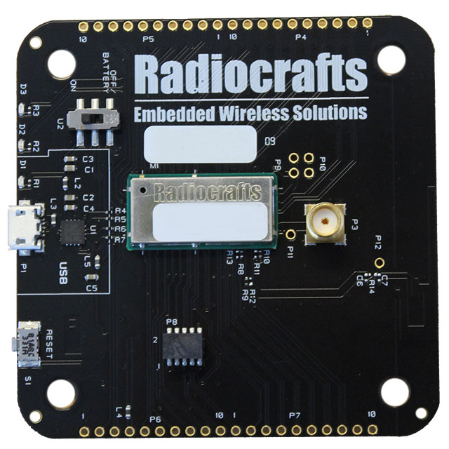 RIIoT-Development-Board